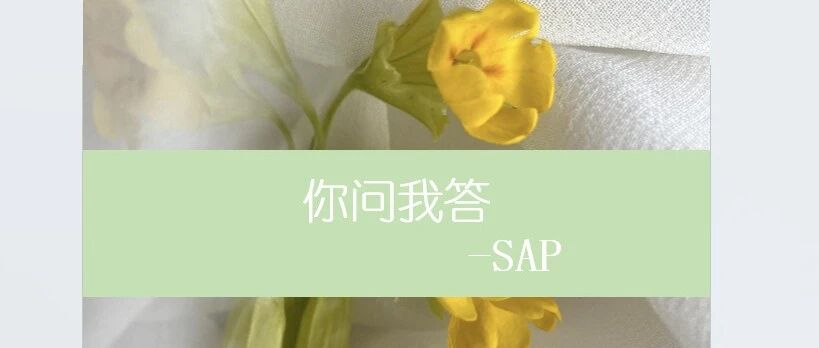 SAPMM 物料主数据字段权限控制 - 封面图