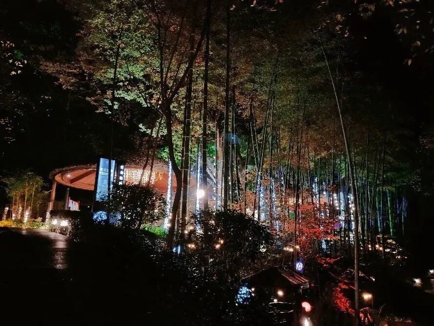 冬天不去爬山泡温泉吗 - 封面图