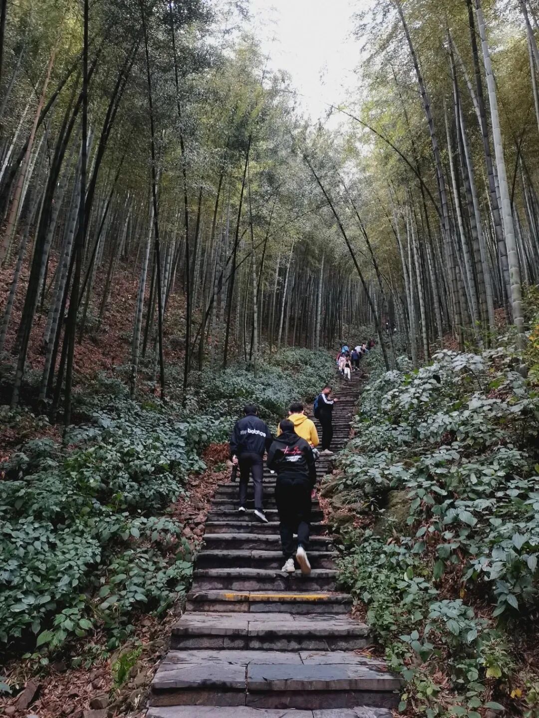 冬天不去爬山泡温泉吗 - 封面图