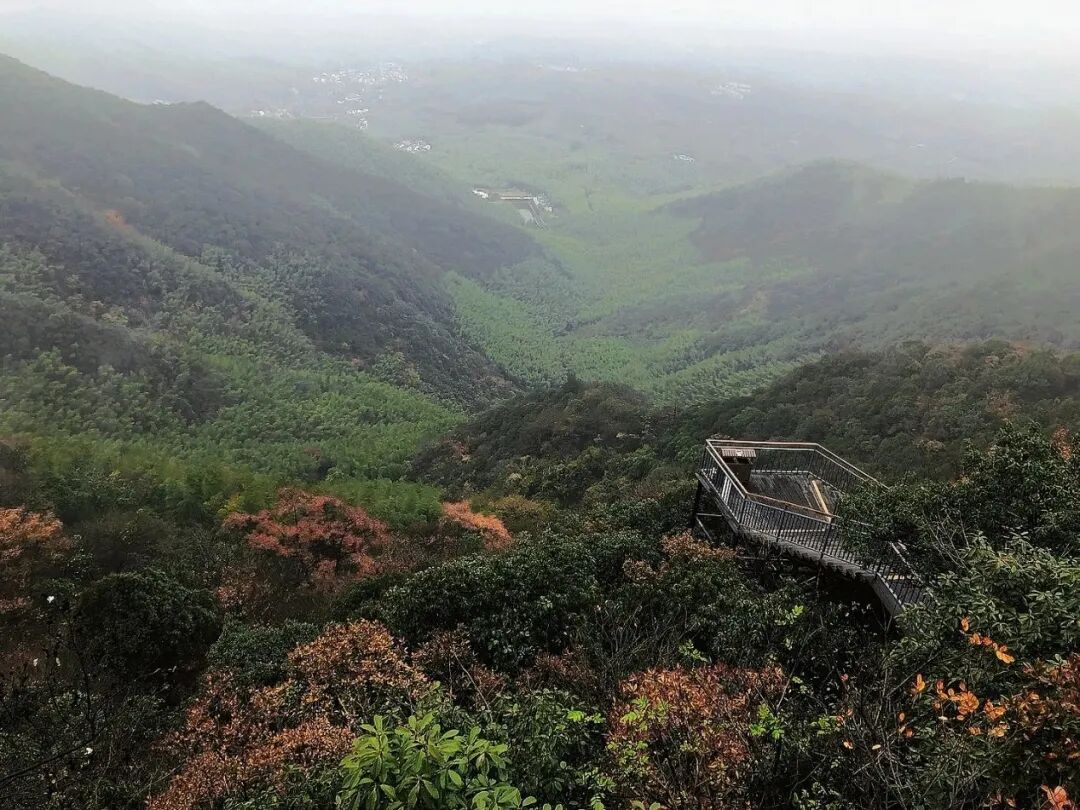 冬天不去爬山泡温泉吗 - 封面图