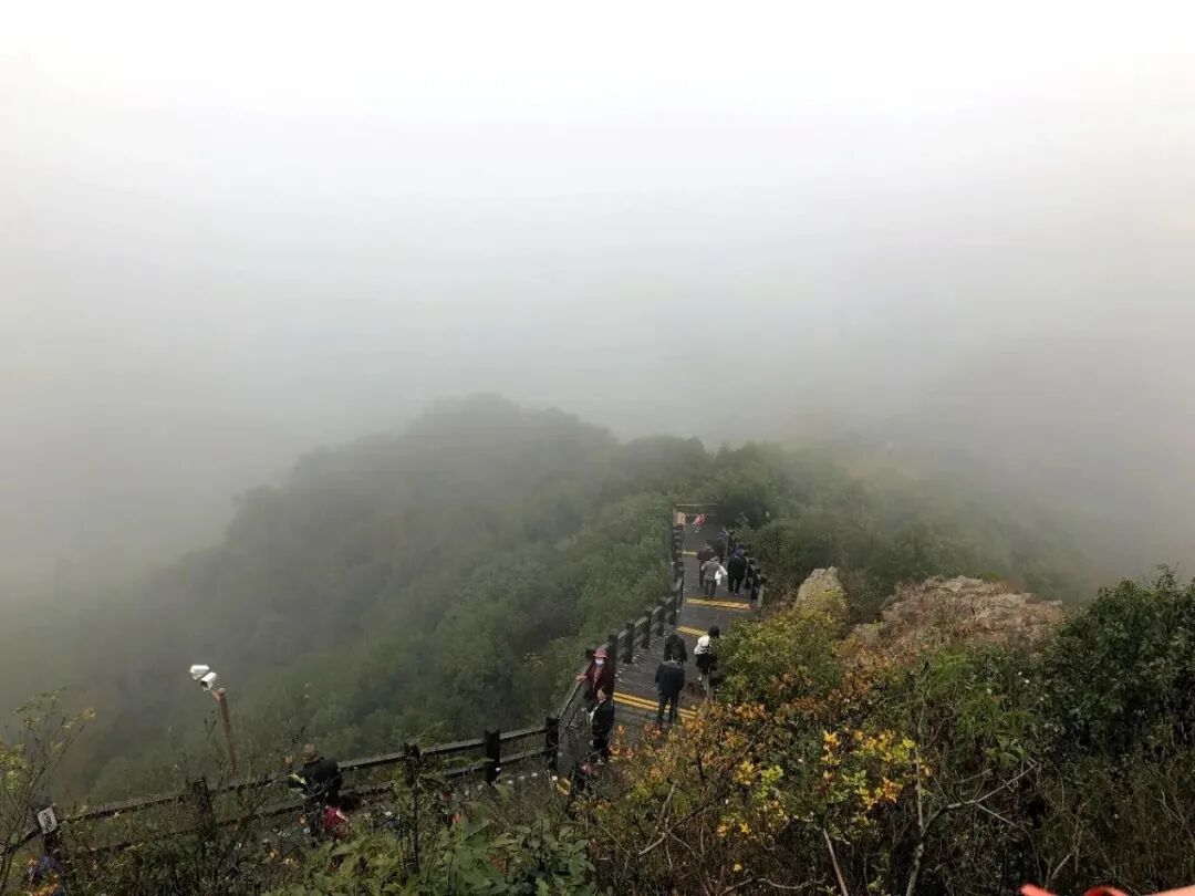 冬天不去爬山泡温泉吗 - 封面图