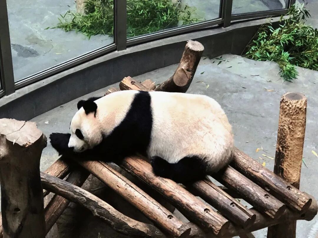 冬天不去爬山泡温泉吗 - 封面图