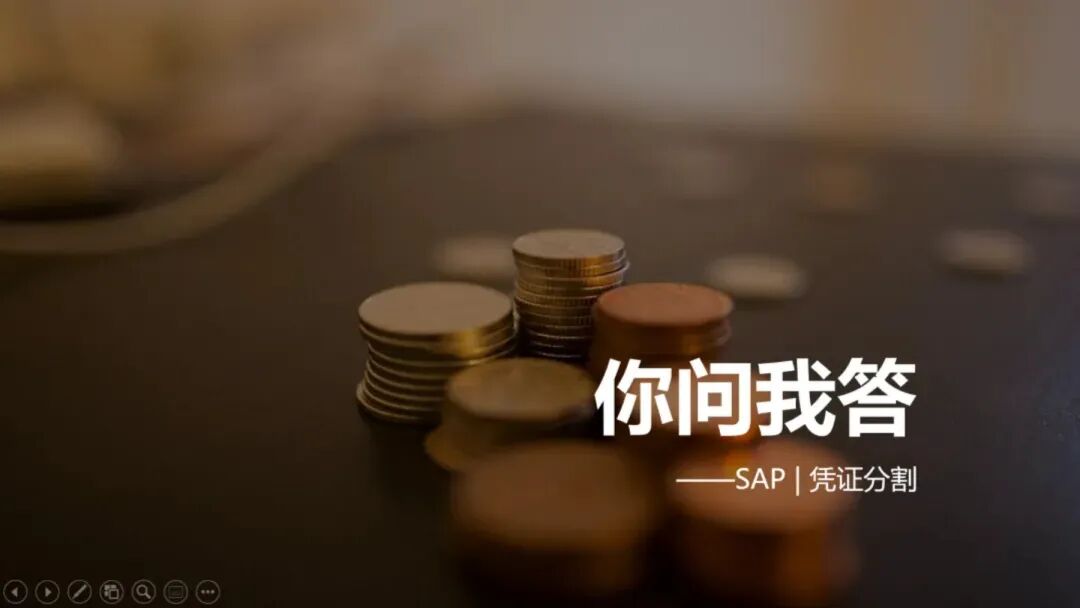凭证分割在利润中心中的应用 - 封面图