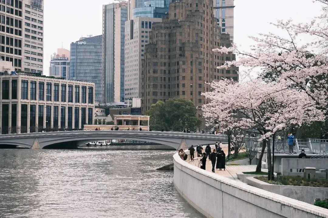 春日漫游计划指南 - 封面图
