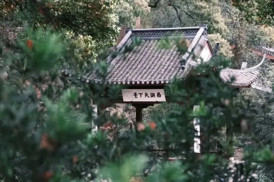 春日漫游计划指南 - 封面图
