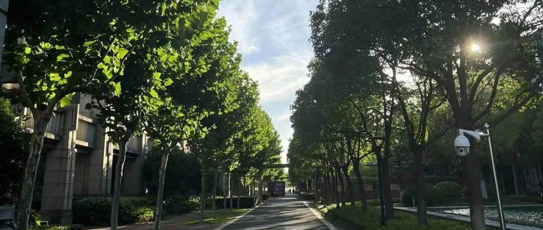 原来上了班是这样 - 封面图