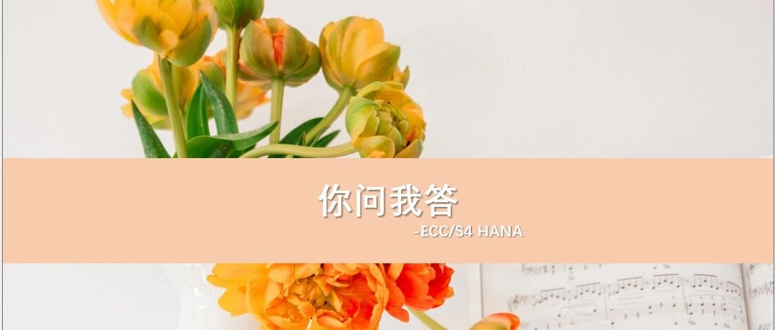 客户联系人在 ECC 和 S4HANA 有什么不同 - 封面图