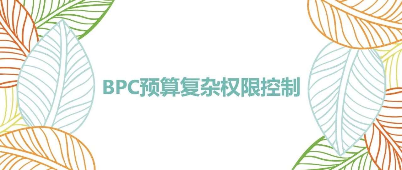 BPC 预算复杂权限控制 - 封面图