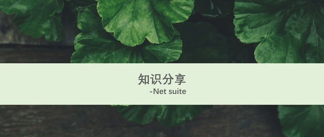 Net Suite 多账簿功能介绍 - 封面图