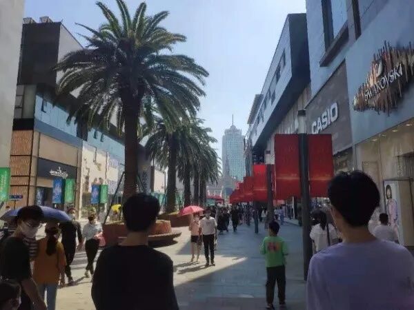 四小只小记方太 LTC - 封面图