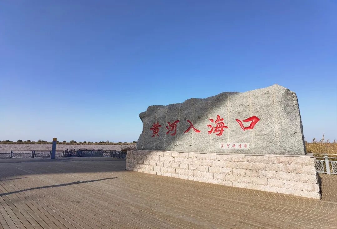 东营国际鸟类机场概览 - 封面图