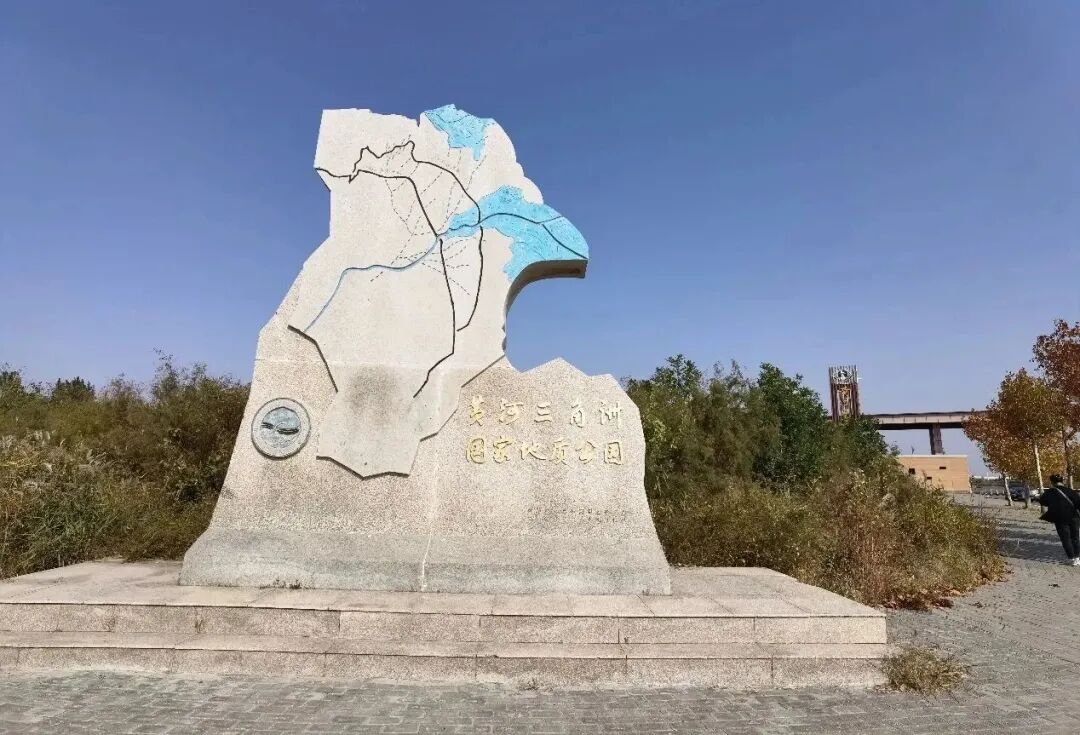 东营国际鸟类机场概览 - 封面图