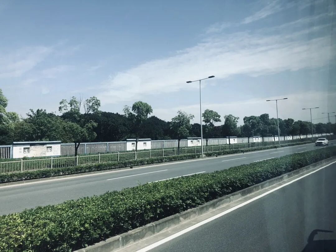 一起走花路的 F 项目 - 封面图