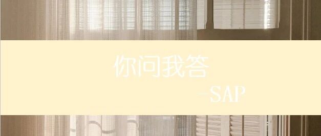SAP 中的 MM 审批权限设置 - 封面图