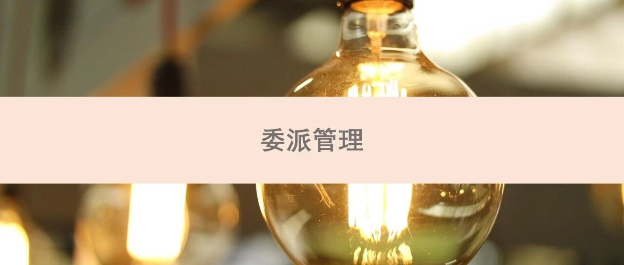 管理委派 - 封面图