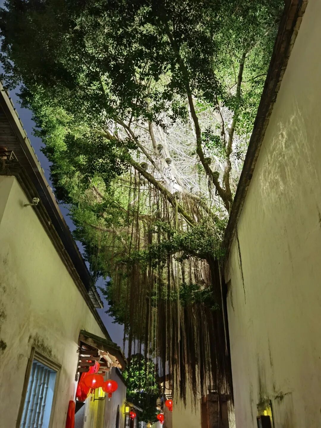 充满未知的旅行多图慎入 - 封面图