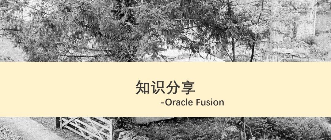 Item Rule - 封面图