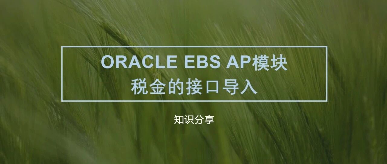 Oracle EBSAP 模块税金的接口导入 - 封面图