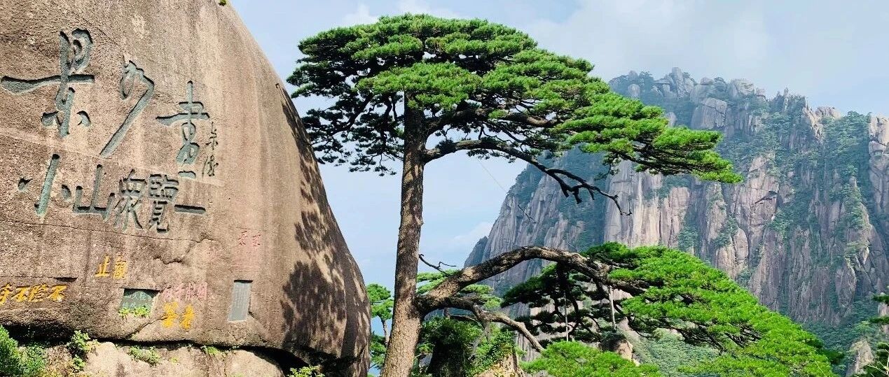 黄山浅行 - 封面图
