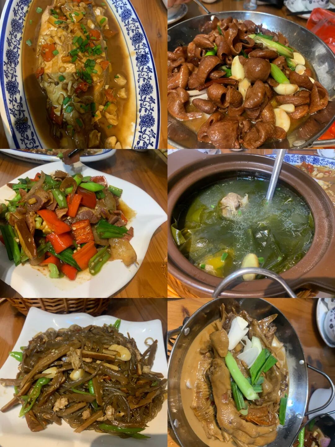 黄山浅行 - 封面图