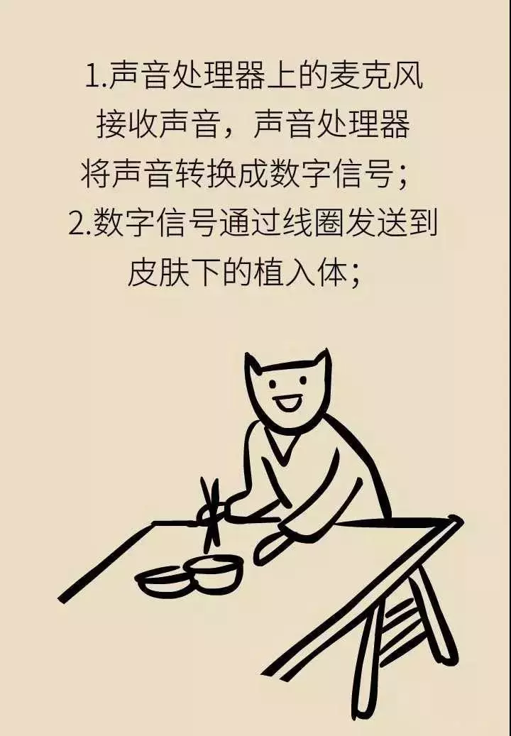 轻松科普|人工耳蜗—酷酷的“小耳朵” 轻松科普|人工耳蜗—酷酷的“小耳朵”