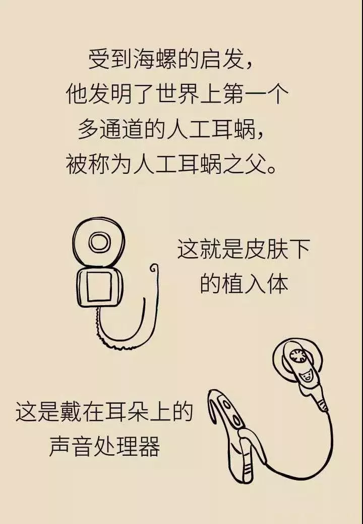 轻松科普|人工耳蜗—酷酷的“小耳朵” 轻松科普|人工耳蜗—酷酷的“小耳朵”