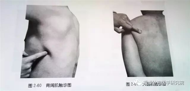 外展枕怎么使用总结的很全的针刀治疗要点，学针刀的人不容错过_https://www.jmylbn.com_新闻资讯_第32张