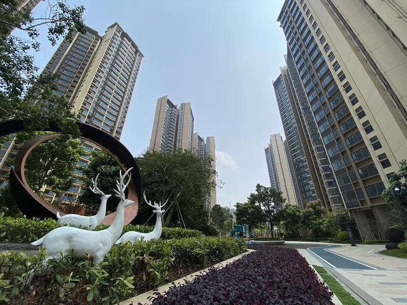 增城佳泽园帝景*即将加推，建面96-116㎡！