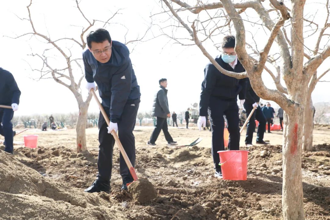 领导植树活动图片图片