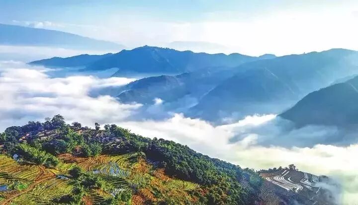 红河谷中的"太阳城",云南人的冬季避寒旅. - 水煮鱼的主页