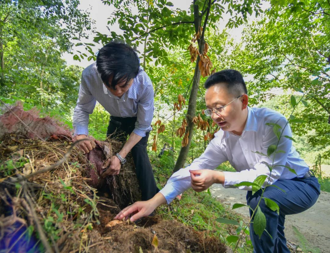 毕节刘元刚图片