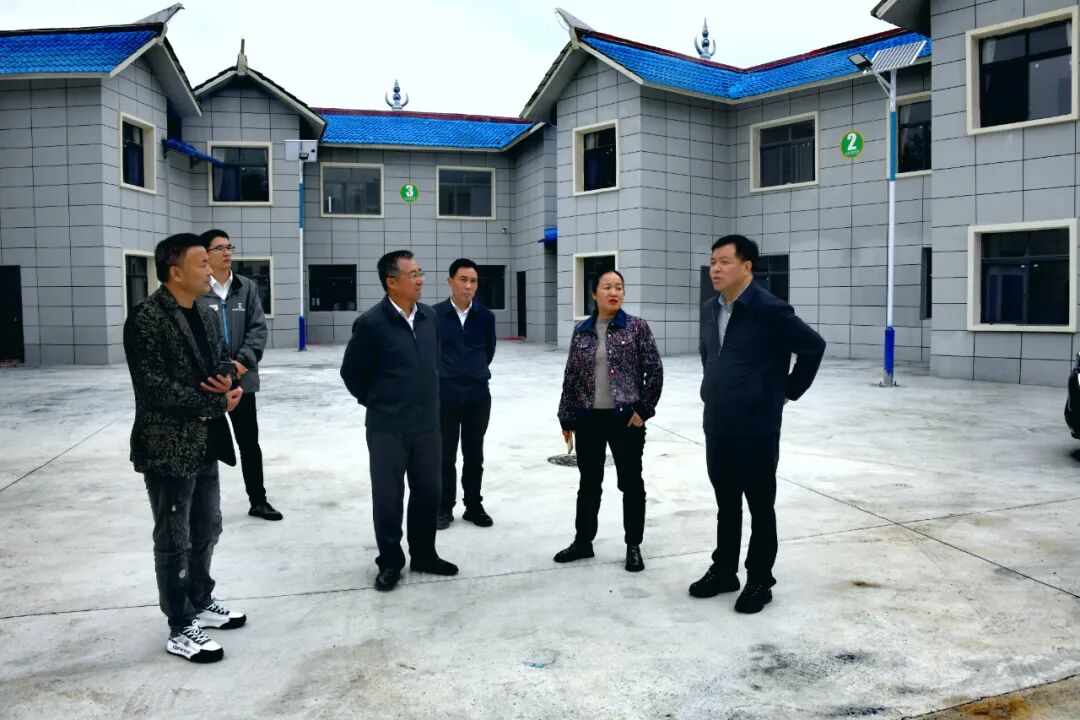 陈华开展主题教育领题调研