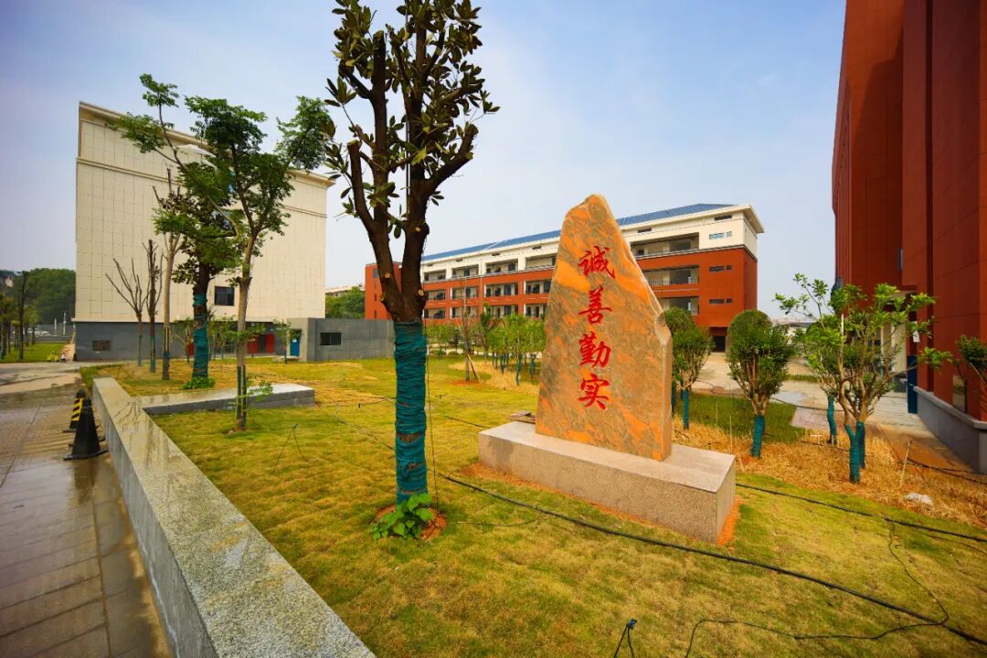 学在雨花·好中学|长沙实验雨花中学:脚踏"实"地,"雨"润花开