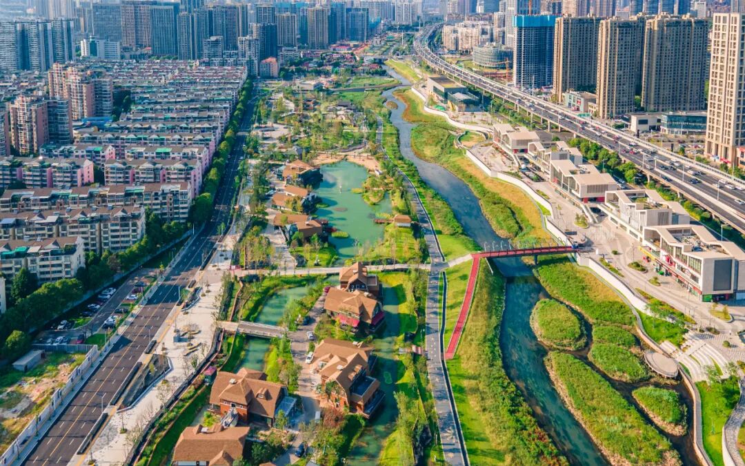 爱在圭塘河丨董元君:圭塘河畔的"打鸟人"