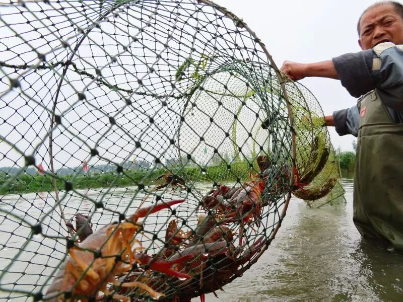拼购奇袭低线市场
