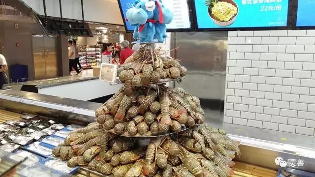 谁更能代表零售业的未来？盒马鲜生、超级物种、海物会、生鲜传奇……