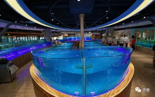 谁更能代表零售业的未来？盒马鲜生、超级物种、海物会、生鲜传奇……