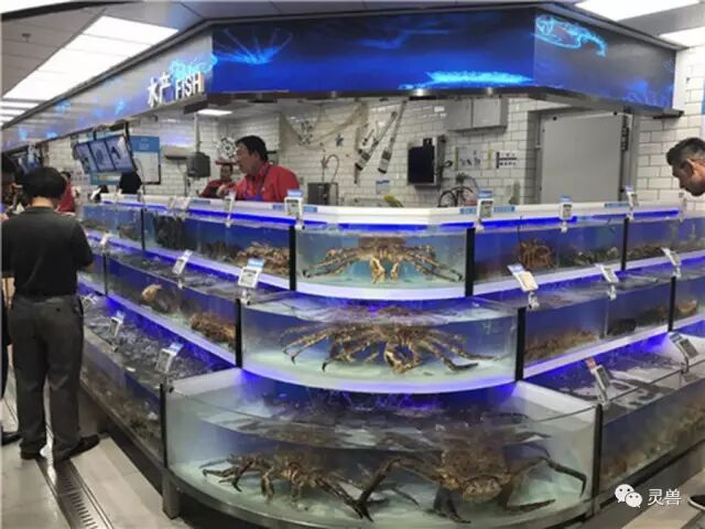 谁更能代表零售业的未来？盒马鲜生、超级物种、海物会、生鲜传奇……