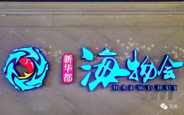 谁更能代表零售业的未来？盒马鲜生、超级物种、海物会、生鲜传奇……