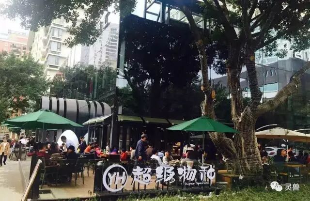 谁更能代表零售业的未来？盒马鲜生、超级物种、海物会、生鲜传奇……