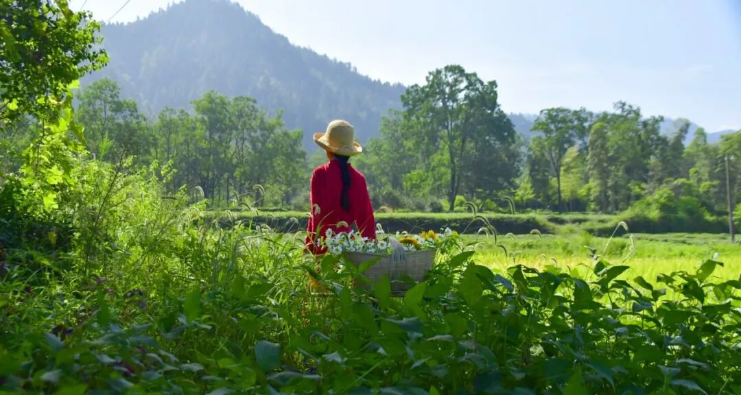 朗诵 我们慢慢走 一起看细水长流 全网搜