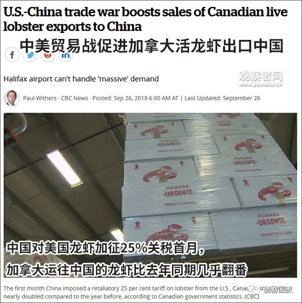中国对美国龙虾加税25%,加拿大对华出口翻番 中国对美国龙虾加税25%,加拿大对华出口翻番