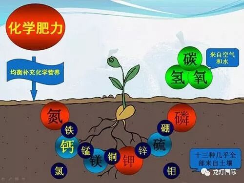 施肥不科学 肥料内的营养元素也会 打架 龙灯微生物菌肥 微信公众号文章阅读 Wemp
