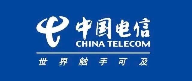 人事：中国电信某省公司新添一副总 集团一年轻处长获提拔