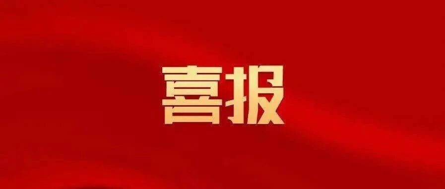 喜报！中国电信系统集成公司正式更名中电信数智科技有限公司