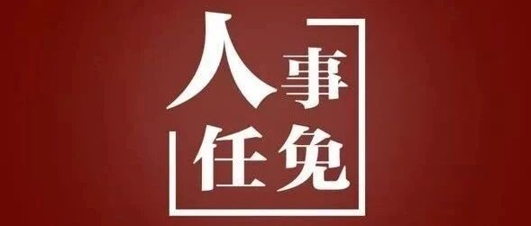 刚刚，中国电信集团高层领导新人履新！