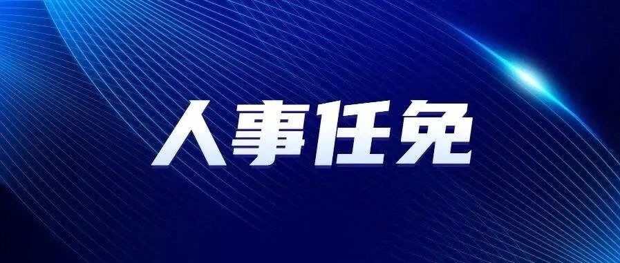 中国电信最新人事任命：涉巡视组、终端、全渠道和各省多位人士