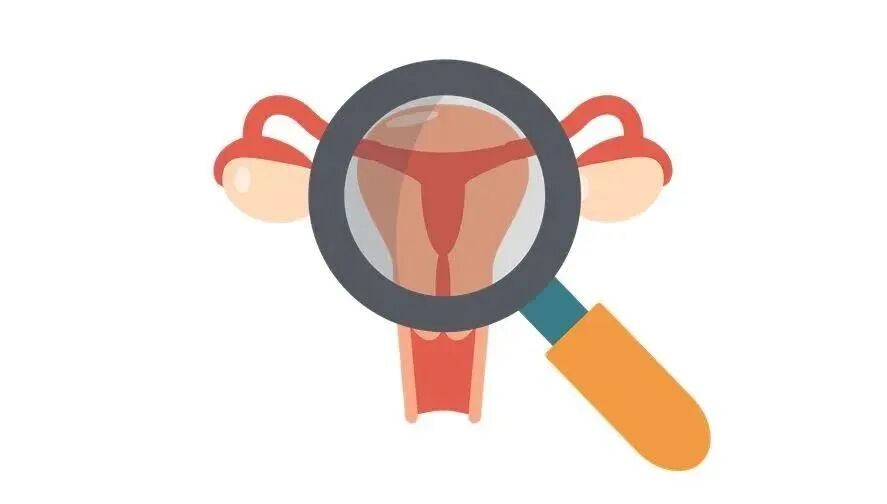 宫腔是什么地方久备不孕？可能是你的努力用错了地方，宫腔镜快速找到不孕原因！_https://www.jmylbn.com_新闻资讯_第7张