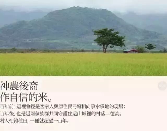 把大米卖到诚品书店 1公斤0元 台湾这个农业品牌的文创功夫你要学 中国农资供销网 中国最大的农资产品交易门户网站 全国三农信息一体化应用平台 中农兴业工程指定网站 中国农业百强网站