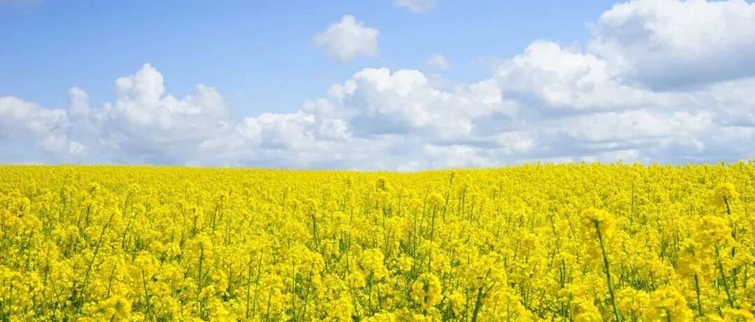 创新与建构：新时代诗歌的双重使命